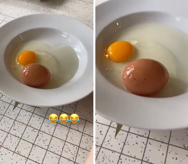 Nəhəng yumurtanın içindən GÖRÜN NƏ ÇIXDI - FOTO-VİDEO