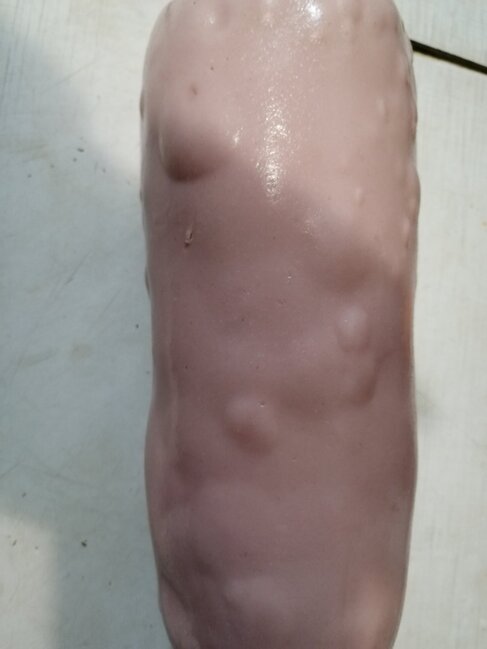 EHTİYATLI OLUN! - Bu kolbasa partlayır - FOTOLAR