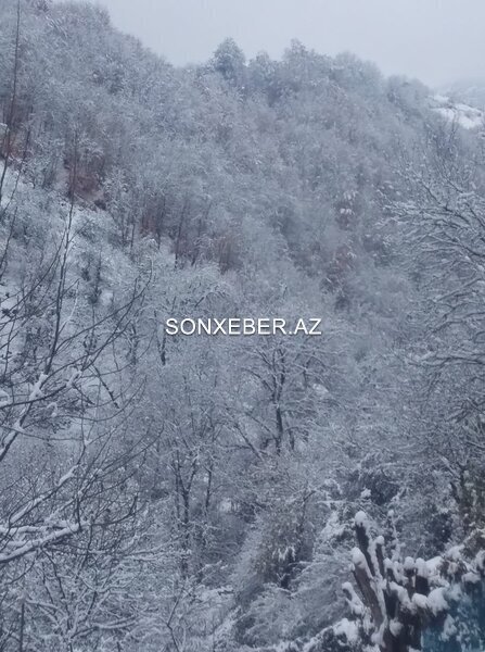 Astara ağ örpəyə büründü - FOTOLAR
