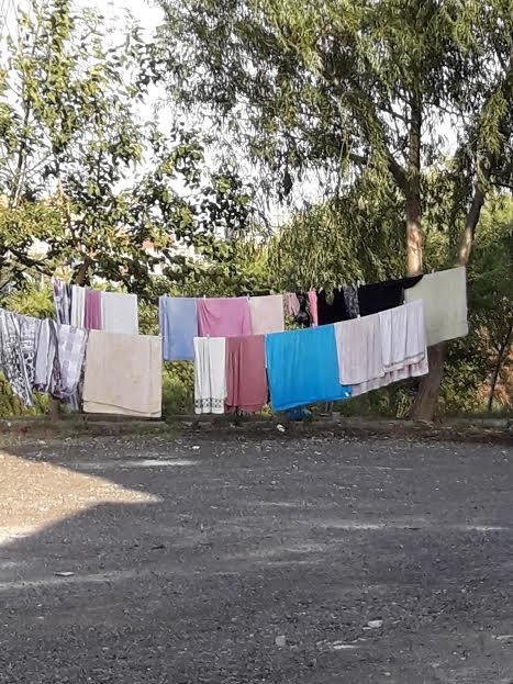 Bakıda 25 manatlıq fahişə yanına qaçan "dindarlar" ifşa olundu- FOTOLAR