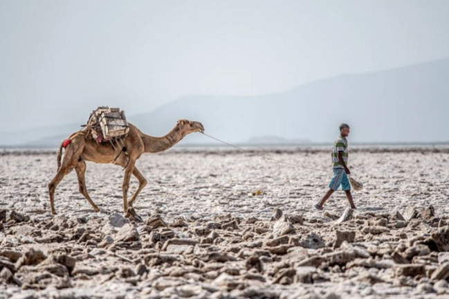 Şərqi Afrika yeni qitəyə çevriləcək - Alimlərdən XƏBƏRDARLIQ