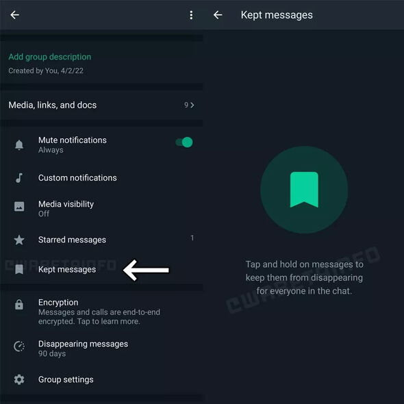 "WhatsApp"da yoxa çıxan mesajlar itməyəcək - FOTO