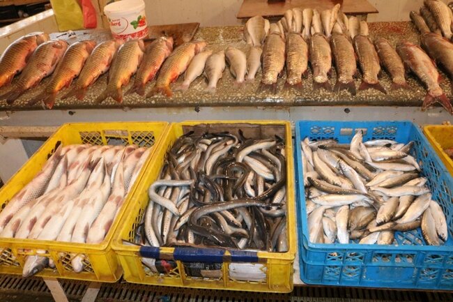 Bayram öncəsi balıq bazarında canlanma: "Kütümə tələbat artıb, qiyməti bahaşıb" - FOTOLAR