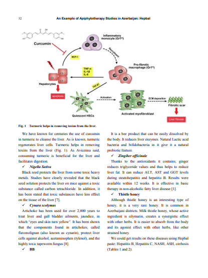 Azərbaycanlı həkimlərin məqaləsi ABŞ-ın MƏŞHUR JURNALINDA - FOTO