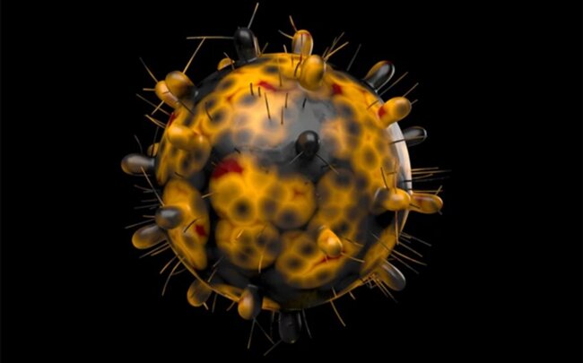 Dünyanın koronavirusa gündəlik yoluxma sayı üzrə ən təhlükəli ölkələri açıqlanıb