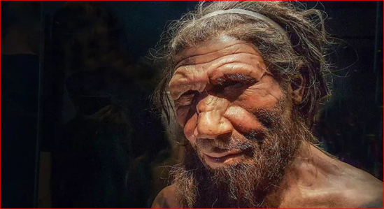 Neandertallar cütləşmə səbəbindən yox olub
