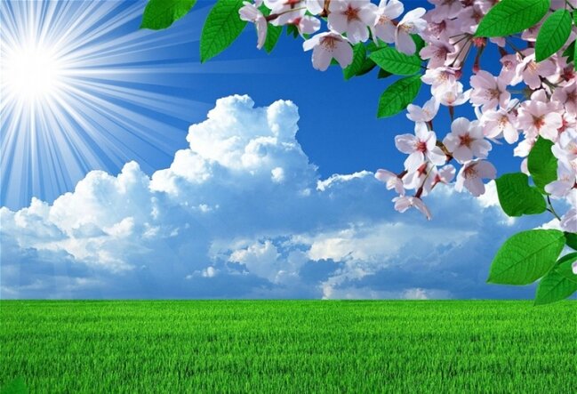 Azərbaycana yay fəsli daxil oldu