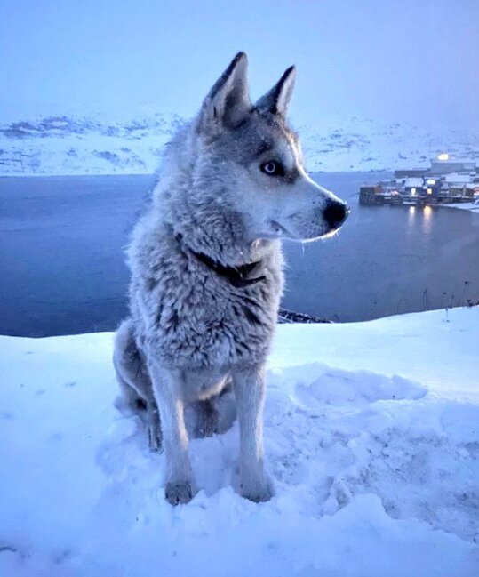 Bu şəhərin sakinləri 40 gün GÜNƏŞ ÜZÜ GÖRMÜR - FOTOLAR