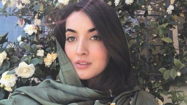 Ermənipərəst Vladimir Pozner ABŞ-da belə susduruldu - VİDEO