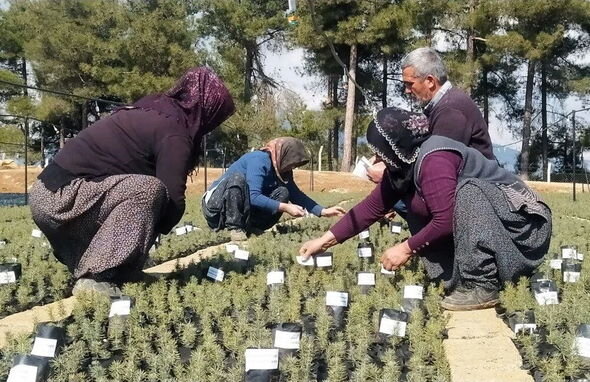 Zəlzələdə həyatını itirənlərin adları fidanlarda yaşadılacaq - FOTO