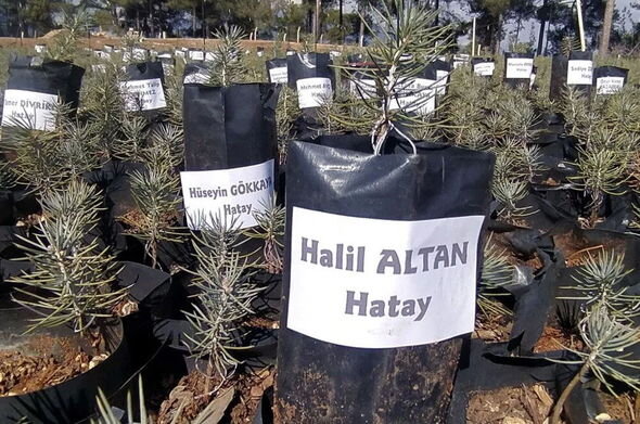 Zəlzələdə həyatını itirənlərin adları fidanlarda yaşadılacaq - FOTO