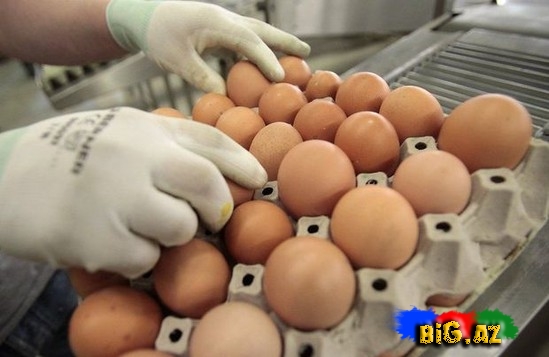 Rusiya Ukrayna yumurtalarını Azərbaycana buraxmadı