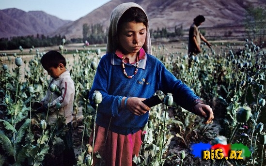 Məşhur fotonun müəllifi sərgi keçirir