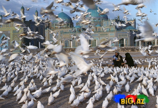 Məşhur fotonun müəllifi sərgi keçirir