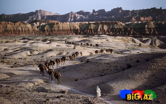 Məşhur fotonun müəllifi sərgi keçirir