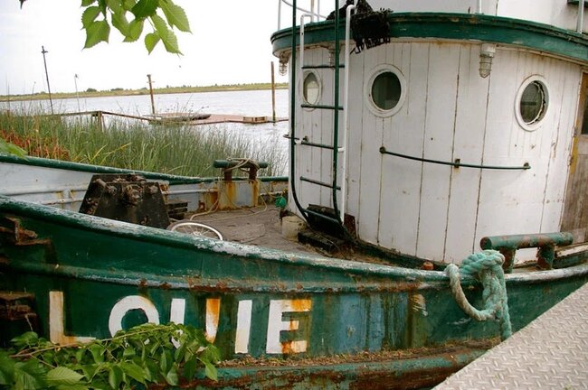 Dünyanın hər yerindən olan insanlar öz evlərində "yadplanetlilər"i görməyə başlayıblar - FOTOLAR