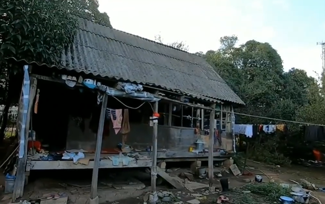 Ailə üzvləri şəhid anasını evdən çıxarıb?