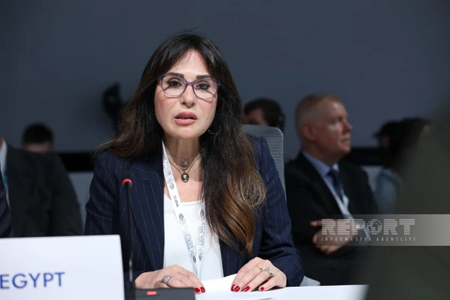 WUF13-ün birinci günü başa çatıb - FOTOLAR
