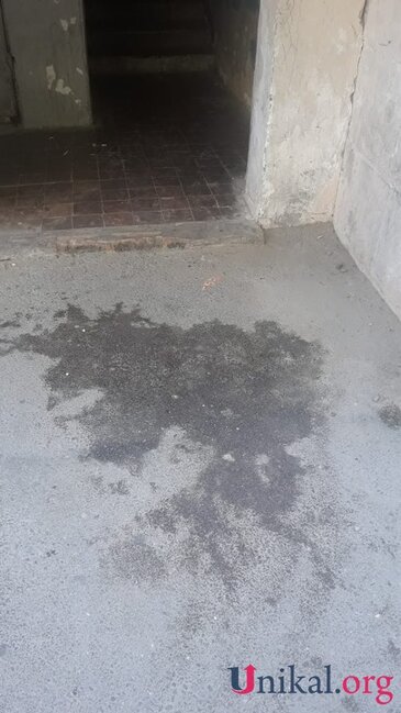 Ərindən polisə şikayət edibmiş - Bakıda kişi arvadının başını niyə kəsdi? - TƏFƏRRÜAT/FOTOLAR