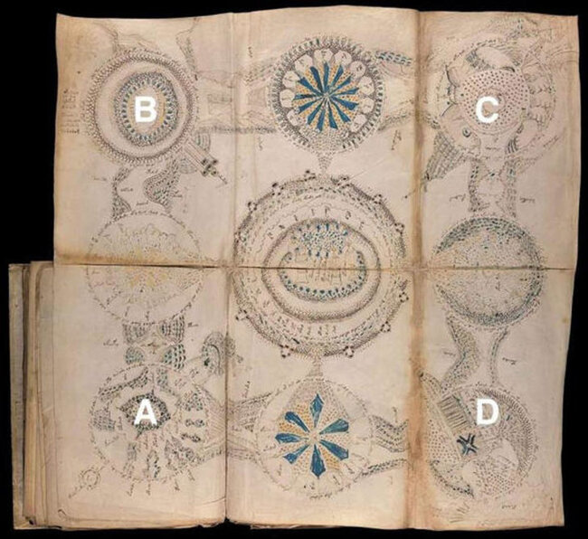 Dünyanın ən sirli kitabı "Voynic" əlyazmasının sirri çözüldü /FOTOLAR