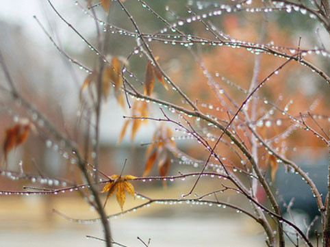 Bu gün Azərbaycanda hava necə olacaq?