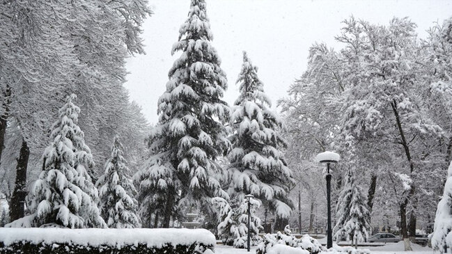 Sabah rayonlara qar yağacaq