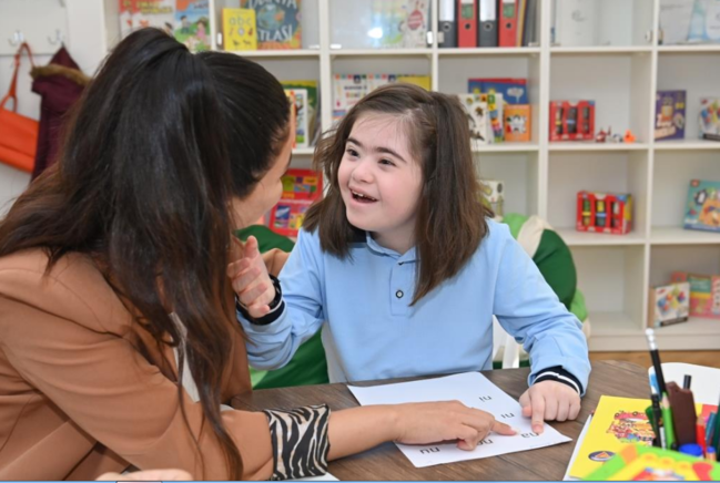 Evdə təhsil kağız üzərində qalır: əqli və fiziki məhdudiyyətli uşaqlara müəllim tapılmır - TƏHSİL EKSPERTİNDƏN AÇIQLAMA