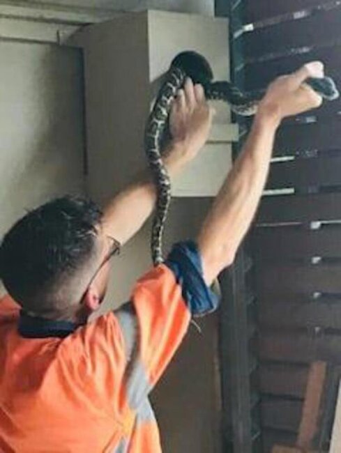 Qapını açan gənc gördüklərinə inanmadı- DƏHŞƏTLİ MƏNZƏRƏ - FOTOLAR