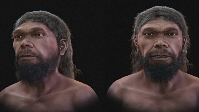 İlk Homo sapiensin üzü necə görünürdü?