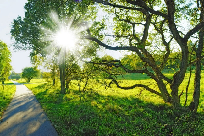 Bakıda 33 dərəcə isti olacaq