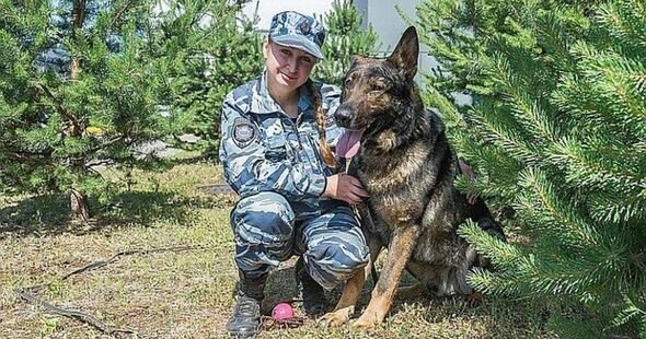 İt 15 yaşlı qızı cinsi təcavüzdən BELƏ xilas etdi - FOTO