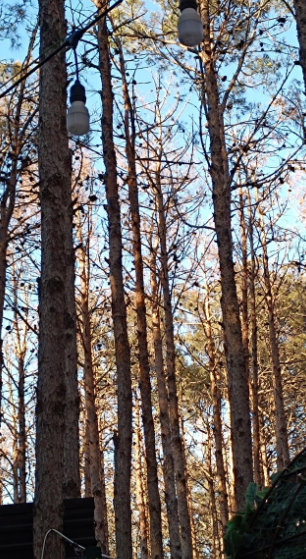 Bu parkda yerləşən çay evlərindən ŞİKAYƏT