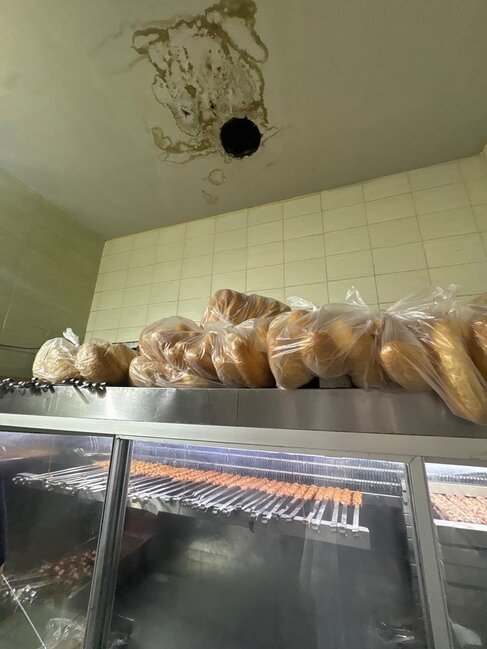 Bakıda kabab evində at DNT-si aşkarlandı - Fotolar