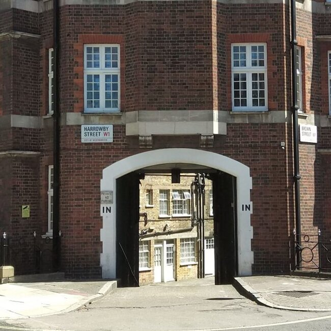 Dünyanın hər yerindən olan insanlar öz evlərində "yadplanetlilər"i görməyə başlayıblar - FOTOLAR