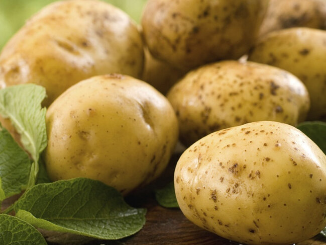 Azərbaycan kartof idxalından imtina etməyi planlaşdırır