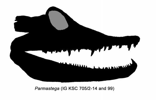 Təkamül nəzəriyyəsini TƏKZİB EDƏN varlıq tapıldı - FOTO
