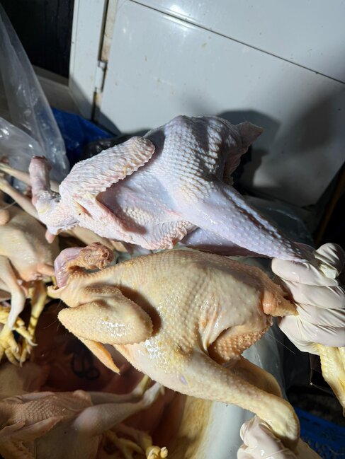 "Kənd toyuqları"nı bu vannalarda "istehsal edirmişlər" - Fotolar