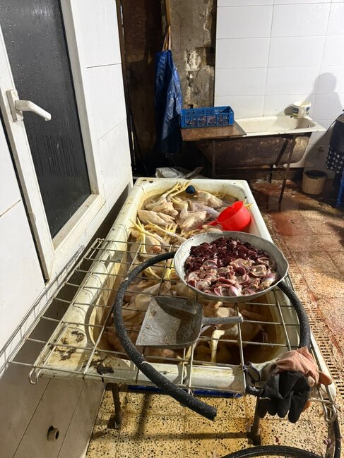 "Kənd toyuqları"nı bu vannalarda "istehsal edirmişlər" - Fotolar