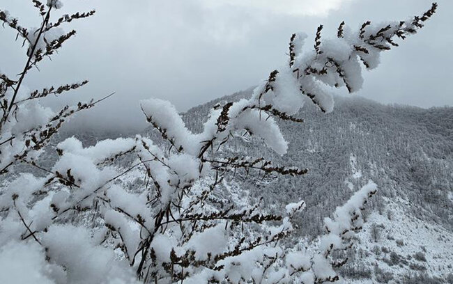 Kəskin hava şəraiti ilə bağlı əhaliyə daha bir - Çağırış