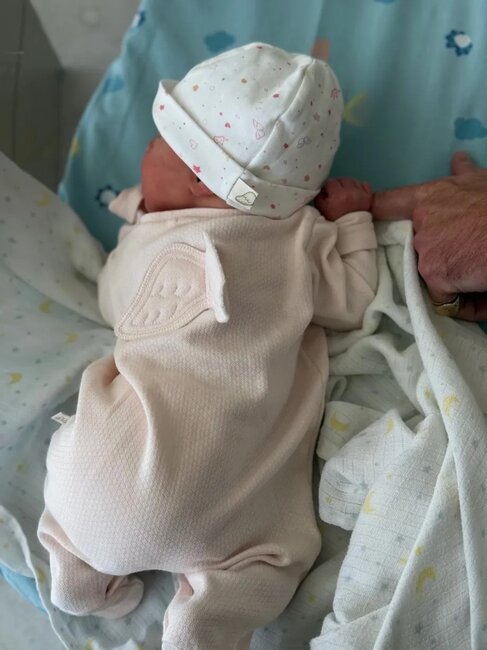 Kral ailəsində yeni körpə - Foto
