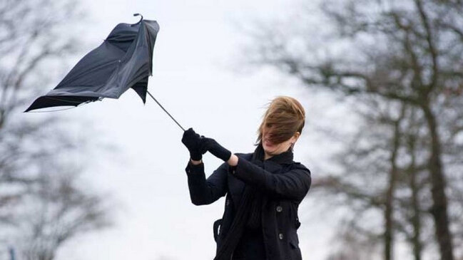 Küləkli hava şəraiti ilə bağlı sarı və narıncı xəbərdarlıq