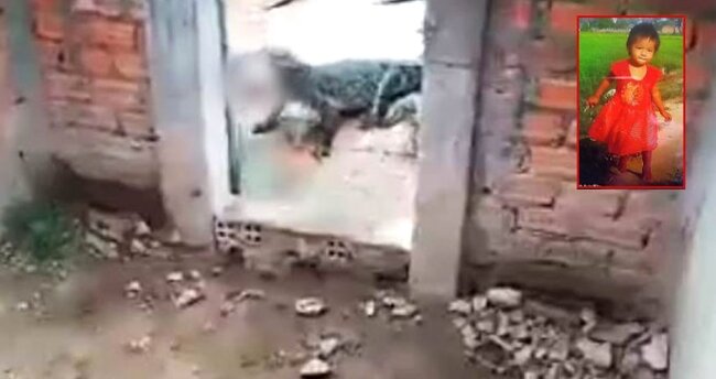 2 yaşlı uşağı atasının gözləri önündə timsah parçaladı -tək başı qaldı -ŞOK GÖRÜNTÜLƏR