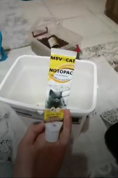 Dağıntılar altında qalan Elif zəlzələdən 2 gün qabaq hazırlıq görübmüş - FOTOLAR