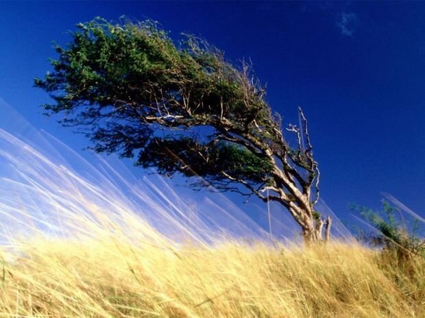 Həftənin ilk günü Azərbaycanda hava necə olacaq? - PROQNOZ