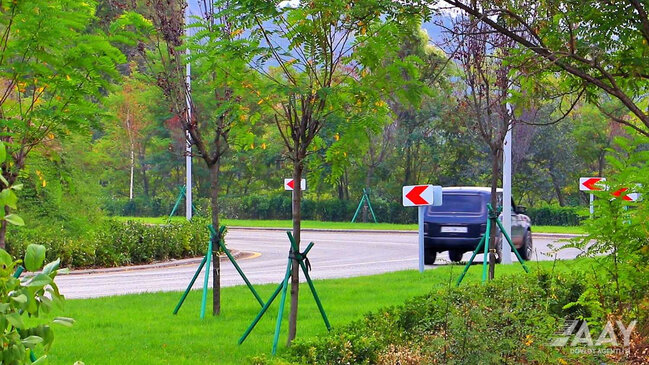 Laçının yollarından möhtəşəm FOTOLAR