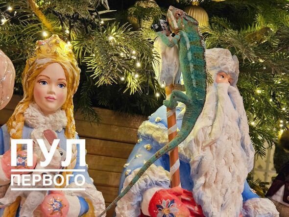 Lukaşenkonun evində saxladığı qeyri-adi heyvan gündəm olub - FOTO