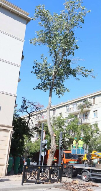 Güclü küləklərlə bağlı qabaqlayıcı tədbirlər görülür