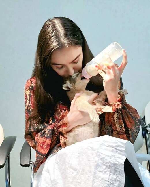 Leyla Əliyeva şir balasını belə bəslədi - Fotolar