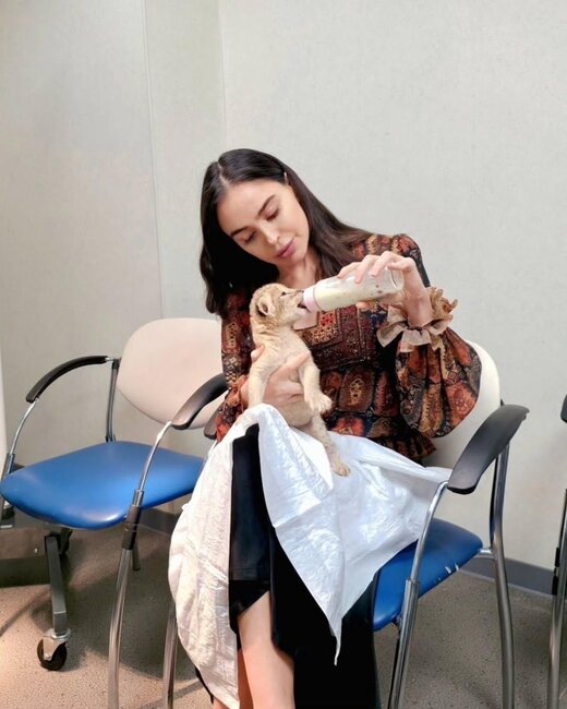 Leyla Əliyeva şir balasını belə bəslədi - Fotolar