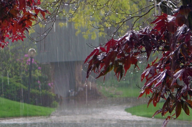 Sabah Bakıda leysan olacaq - Xəbərdarlıq